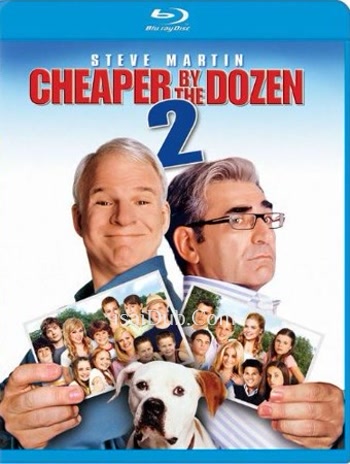 Cheaper by the Dozen 2 (2005) - Tamil Movie Poster