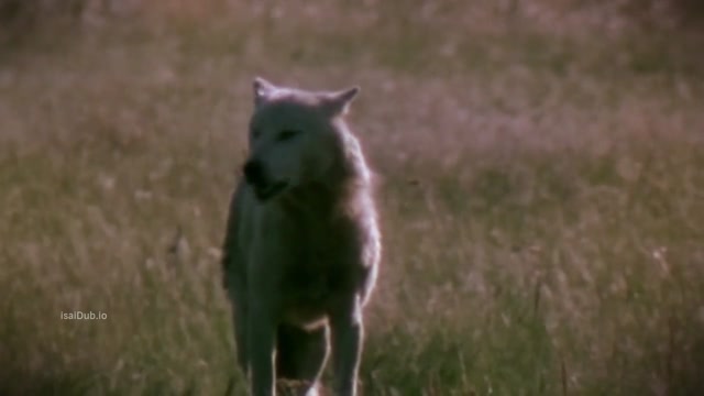 Hybrid 2007 Original 720p HD.mp4