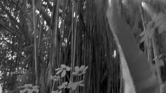 isaiDub.io - Seven Years in Tibet 1997 Original 360p HD.mp4