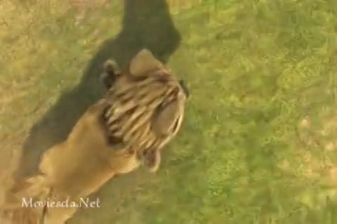 Alpha and Omega 3 (2014) Part-2.mp4