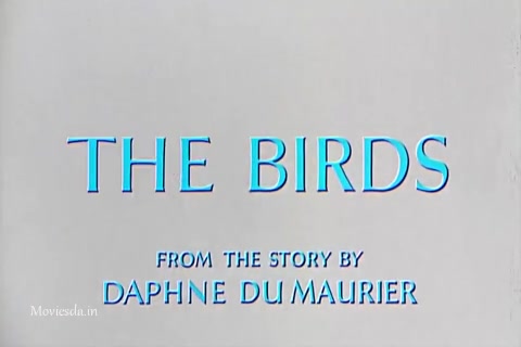 The Birds (1963) (480x320).mp4