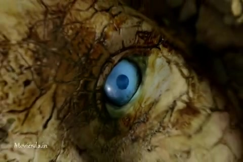 Into The Badlands 2 - EP 01 - Tiger Pushes Mountain.mp4
