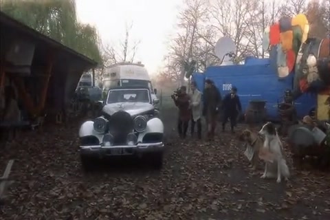 Dalmatians HD Sample.mp4