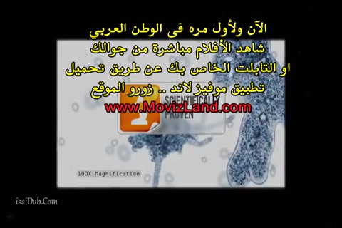 A Mosquito Man HD.mp4