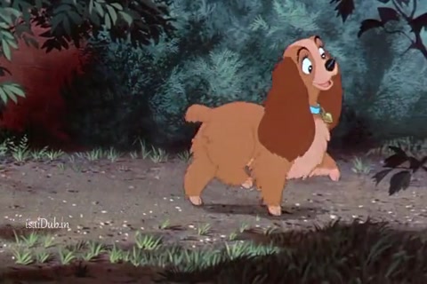 Lady and the Tramp HD Sample.mp4
