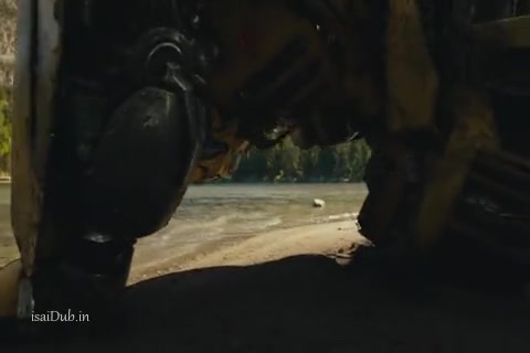 Bumblebee Sample.mp4