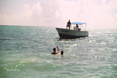 Poseidon Rex 2013 Sample.mp4