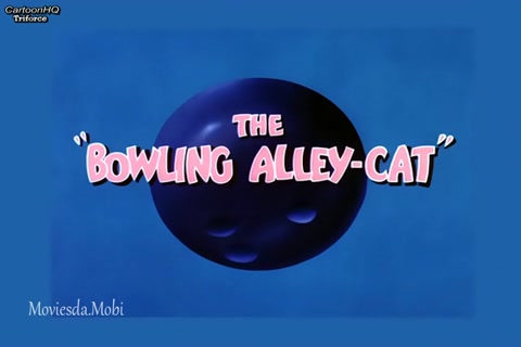 The Bowling Alley Cat HD.mp4