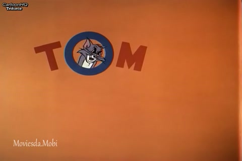 Surf Bored Cat HD.mp4