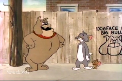Planet Of The Dogs HD.mp4