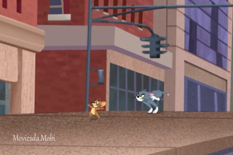 Jackhammered Cat HD.mp4