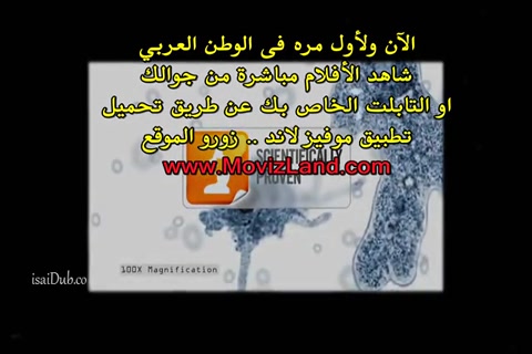 A Mosquito Man 2016 HD.mp4