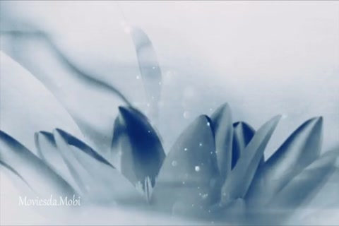 The Untamed Season 1 Episode 9 HD.mp4