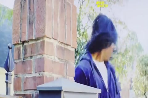 The House Next Door Meet The Blacks 2 (Tamil Fan Dub) HD Sample.mp4