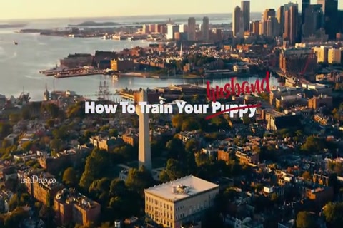 How To Train Your Husband 2017 HD.mp4
